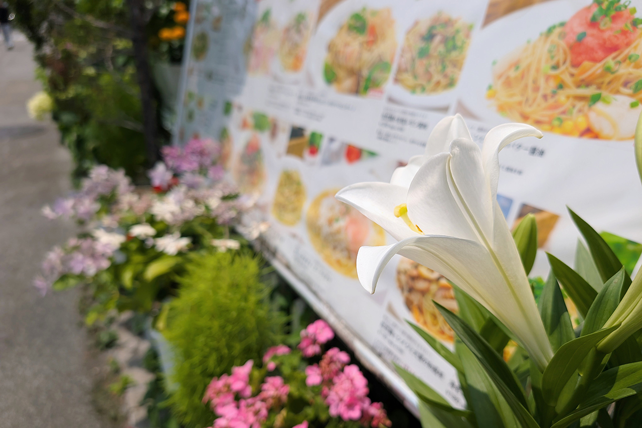 7月の営業日程ご案内