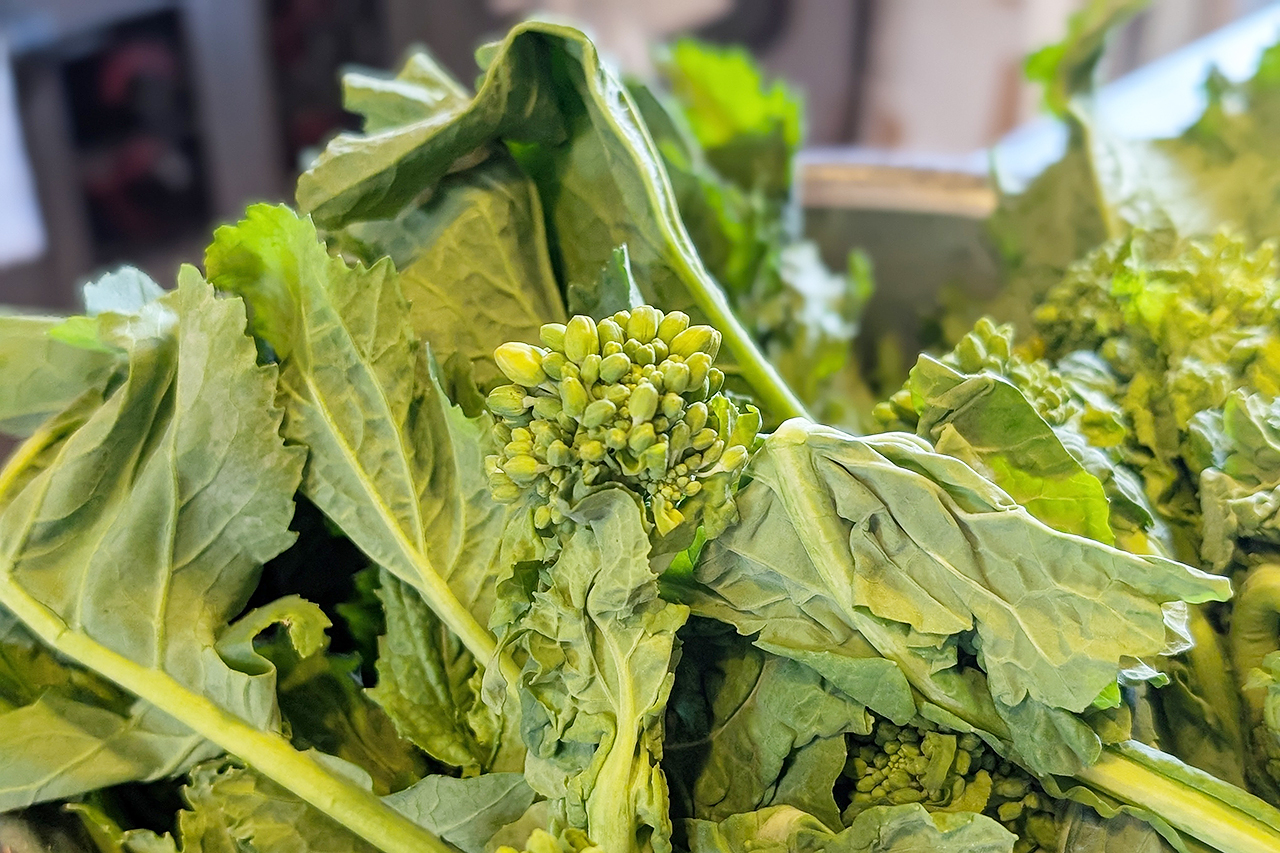 2月の営業日程ご案内